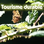 La Renardiere Frühstückspension