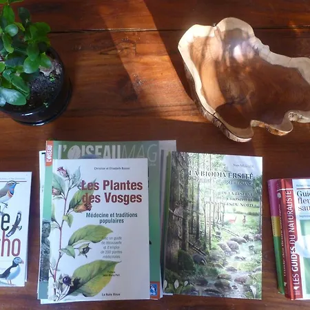 La Renardiere 3* Reichshoffen