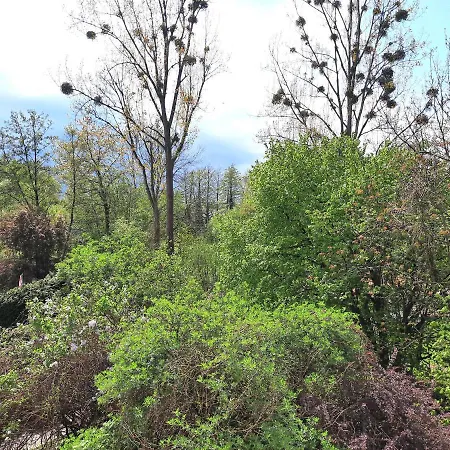 La Renardiere Bed & Breakfast Reichshoffen