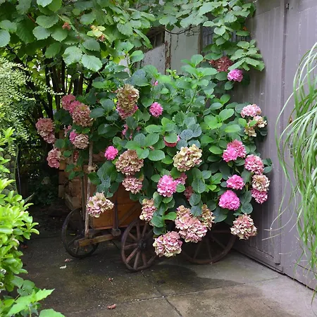 住宿加早餐酒店 La Renardiere 3*