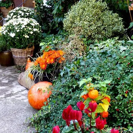 La Renardiere 3* Reichshoffen