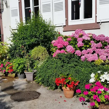 Frühstückspension La Renardiere 3*