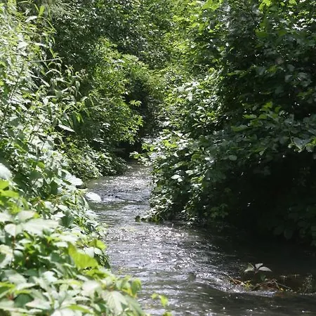住宿加早餐酒店 La Renardiere 3*