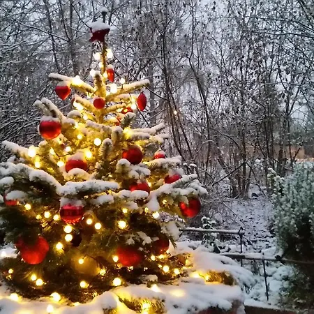 住宿加早餐酒店 La Renardiere Reichshoffen