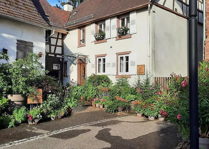 Bed & Breakfast La Renardière